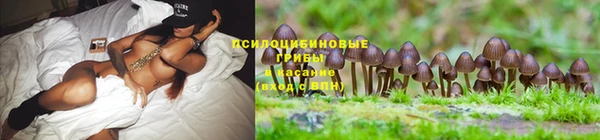 экстази Медвежьегорск