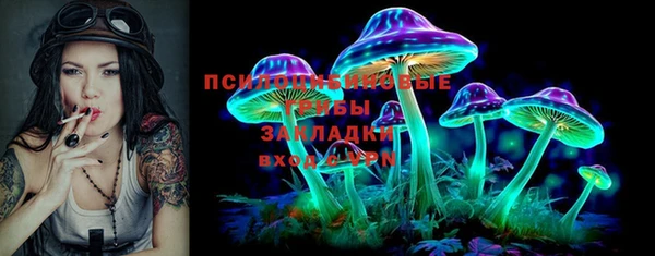 экстази Медвежьегорск